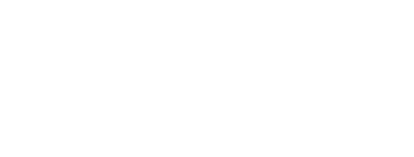 Logo Prime Lite
